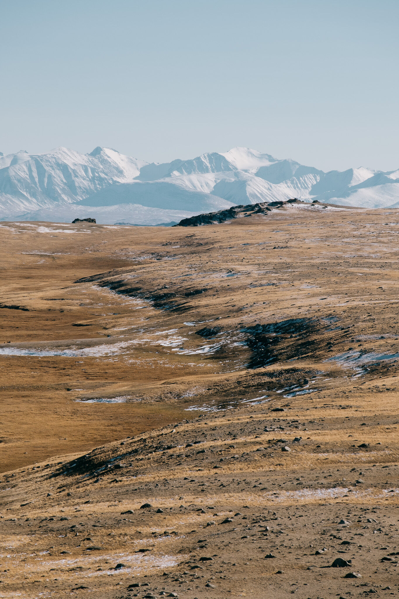 Snow mountains above open steppe